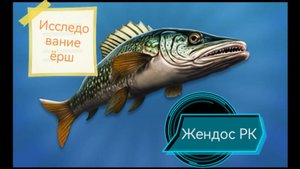 Реальная рыбалка 2. Исследование ёрш на карасевом