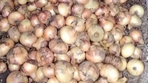 Бабушка такая... Последнее отдаст💓