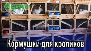 Кормушки для домашних кроликов