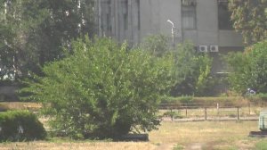 24.08.2025г Скачка № 7