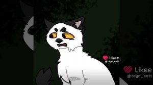 Чисто войны в котах воителях