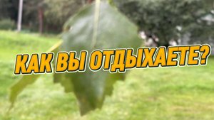 КАК ВЫ ОТДЫХАЕТЕ?