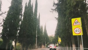 Поездка в Крым
