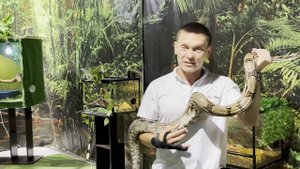 В Смоленск приехала тропическая экзотика: Выставка «Пауков и Рептилий» из Краснодара.