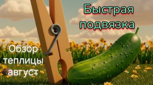 Обзор теплицы - новый способ подвязки растений
