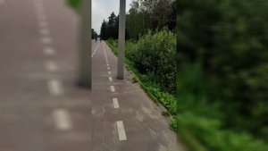 Кто так строит, А🤷♂? Прикольная велодорожка с препятствиями - это квест🤣!