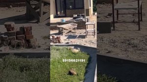 Укладка тротуарной плитки Тамбов