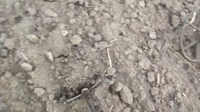 коп на древнем поле.