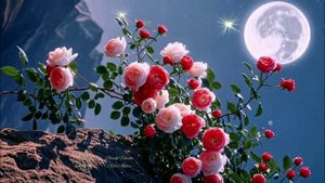 Гармонизирующая музыка для здорового сна