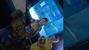 Пенза 2025. Пензенский Океанариум.