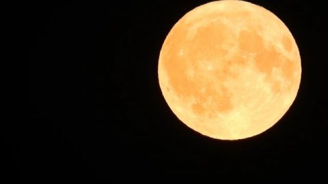 Лететь на Луну людям запретили. Спутники и луноходы запускать можно