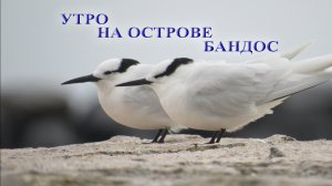 УТРО НА ОСТРОВЕ БАНДОС