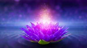 Цветок мечты - Ник.Жуков. Мила Кичигина Ангел - Online.Муз.гр
