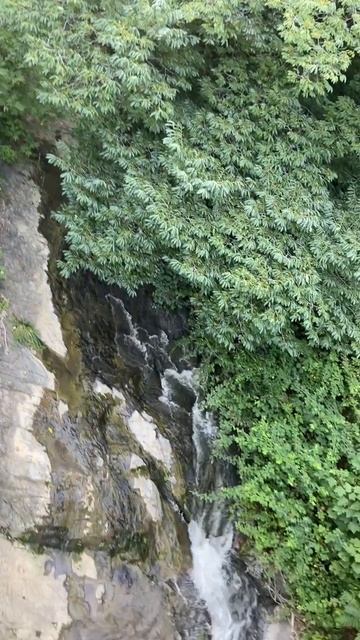 Грузия, Тбилиси, Ботанический сад смотреть онлайн