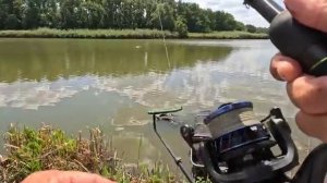 Поймал толстолобика, тут рыба есть и разная!