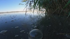 Рыбалка с женой!!!