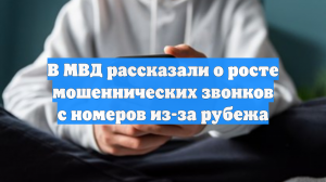 В МВД рассказали о росте мошеннических звонков с номеров из-за рубежа