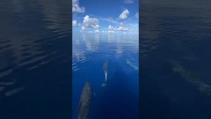 хорошего вечера