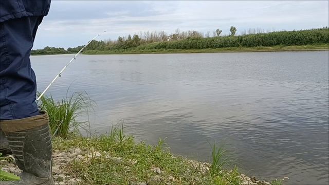 Опять щука срезала оснастку. Перешел на поплавок. смотреть онлайн