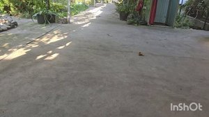 влог. .пробую настойку для суставов.и просто болтаю