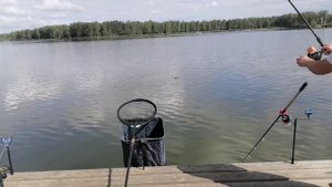 Рыбалка в ЛОтоФиш. Подмосковье