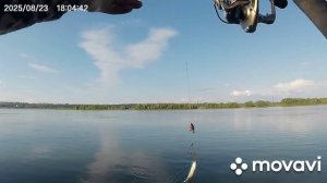 рыбалка на кормушку