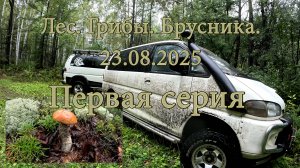 Лес. Грибы. Брусника. Мицубиси Делика. Первая серия.