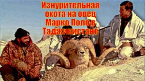 Изнурительная охота на овец Марко Поло в Таджикистане