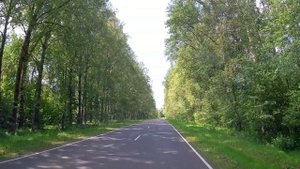 2025. Михайловское. Воронич. Тригорское. Савкина Горка.