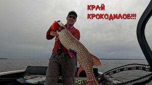 край крокодилов