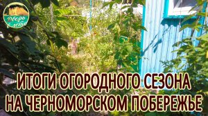 Огород на Черном море. Очередной опыт