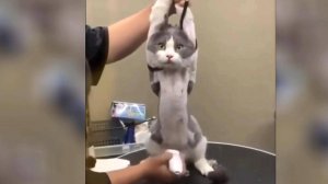 Самые смешные видео приколы|Юмор и Приколы