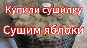 Купили дегидратор, сушим яблоки