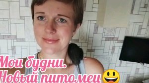 Мои будни. Новый питомец 😃