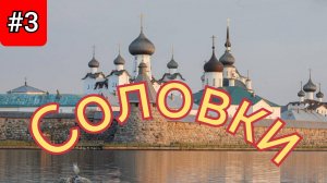 3.Соловки.Цены маршруты,белуги.Мурманск
