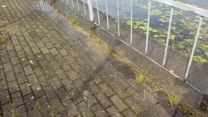 Доброе утро! Калининград! 24 августа 2025 года