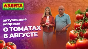 АКТУАЛЬНЫЕ ВОПРОСЫ о выращивании ТОМАТОВ в августе!