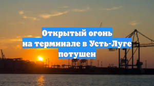 Открытый огонь на терминале в Усть-Луге потушен