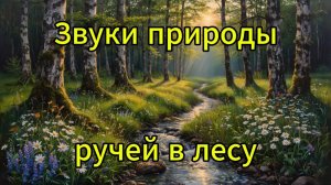 Звуки природы, звуки ручья, ручей в лесу, музыка для релаксации и медитации