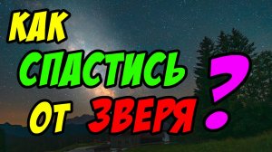 Как спастись от зверя? - Борис Сороковский. Христианские проповеди
