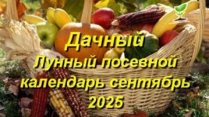 Лунный посевной календарь для садоводов и огородников на сентябрь 2025 года
