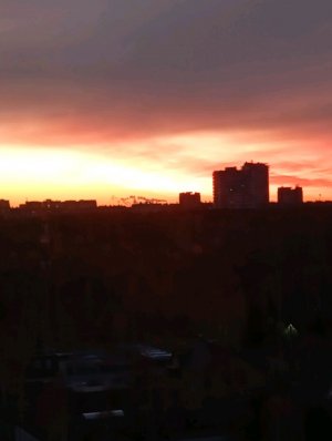 Май транслэйшон