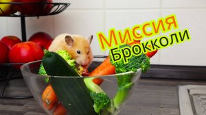 Миссия Брокколи.