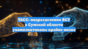 ТАСС: подразделения ВСУ в Сумской области укомплектованы крайне низко
