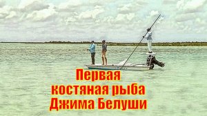 Первая костяная рыба Джима Белуши