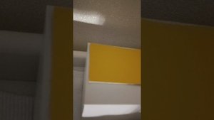 Собаки вызывают духа! 
Что может пойти не так?