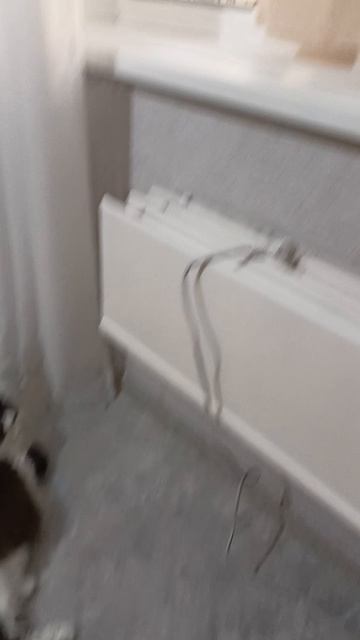 Новый ШОРТИК смотреть онлайн