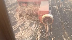 уборка кукурузы 2025