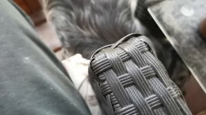 СОЧИ ГОРНОЕ ЛОО ВЕЧЕР 24.08.2025