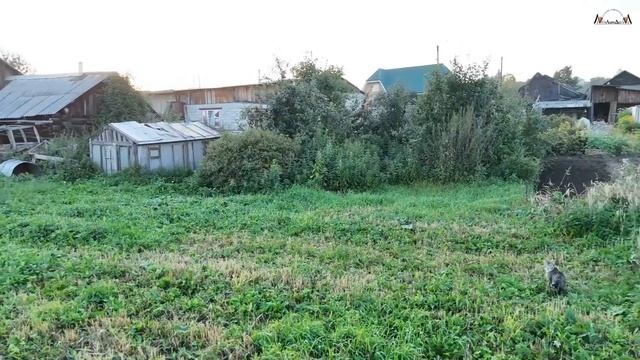 Продается отличное место для строительства нового дома в городе Верхний Уфалей смотреть онлайн